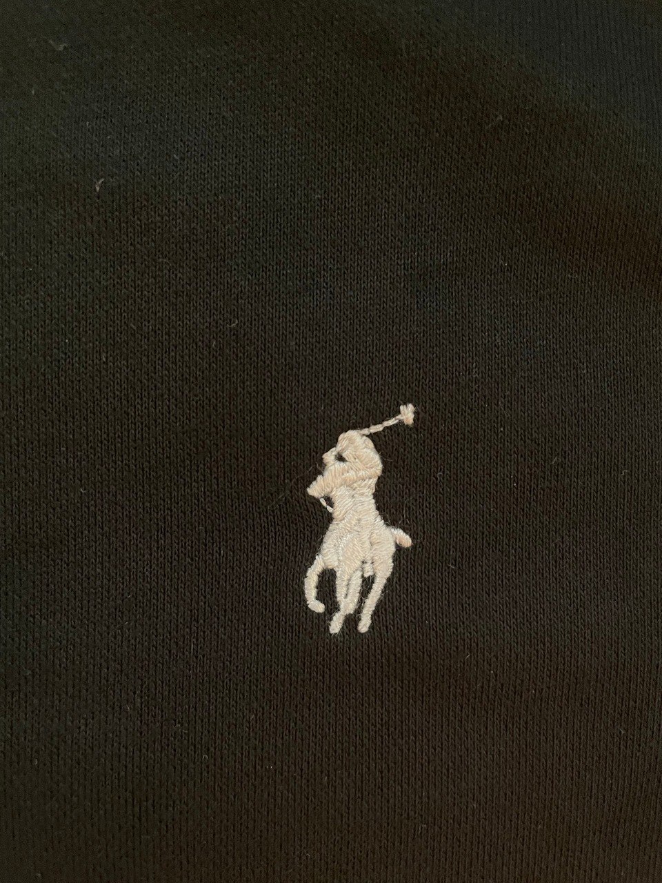 POLO Hoodie