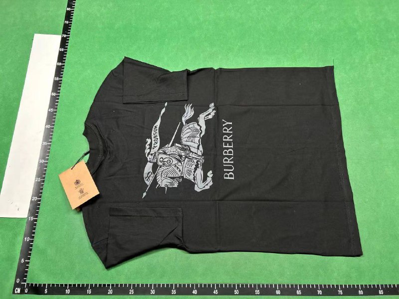 Burberry T-Shirt( 21 + styles)