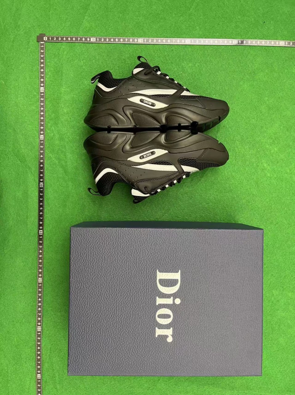 Dior B22