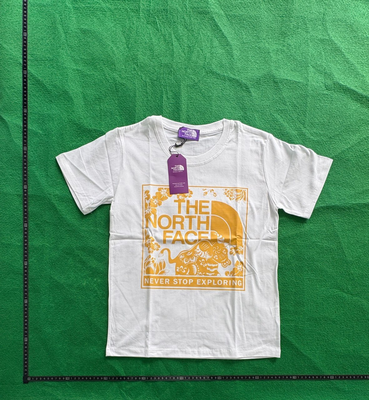  The north face T-shirt