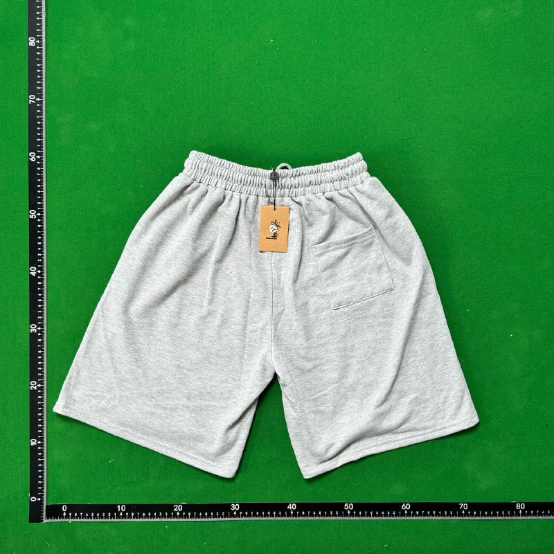 stussy shorts