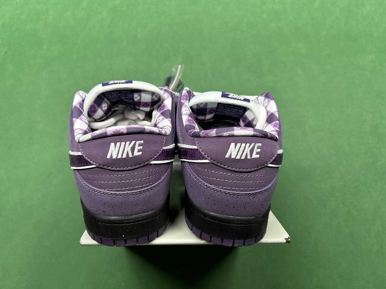 CONCEPTS x Nike Dunk SB