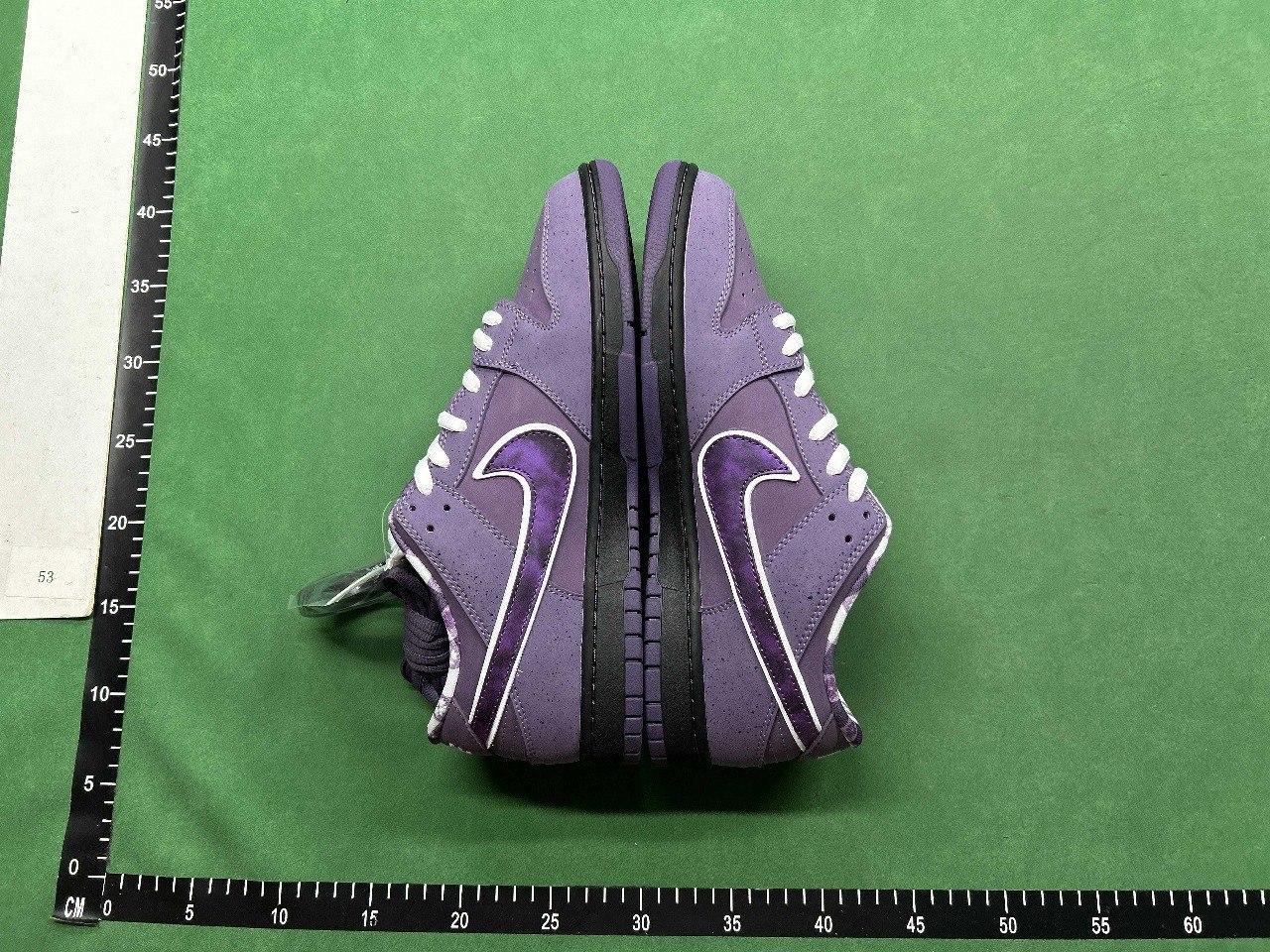 CONCEPTS x Nike Dunk SB