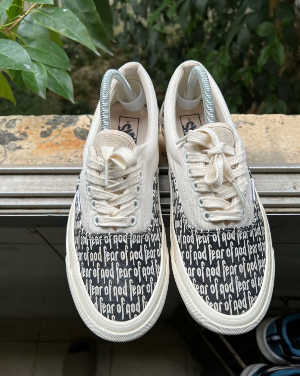  Vans Collection