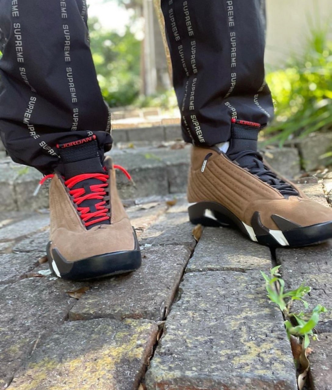 Collection jordan 14 OG