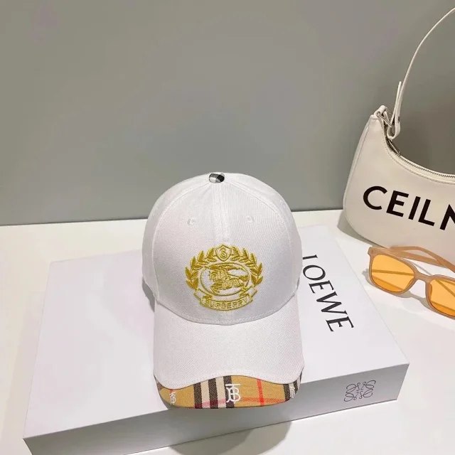 Burberry Fashion casual hat（16 styles）